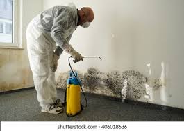 Best Mold Remediation for Healthcare Facilities  in Lumber City, GA